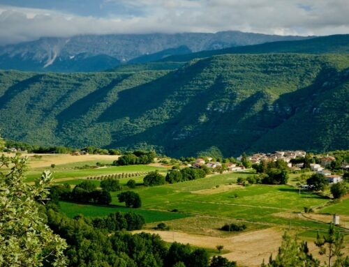 Report attività Foresta Modello Valle Aterno