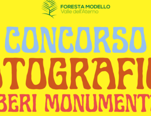 Concorso Fotografico “Alberi Monumentali di Foresta Modello Valle Aterno”